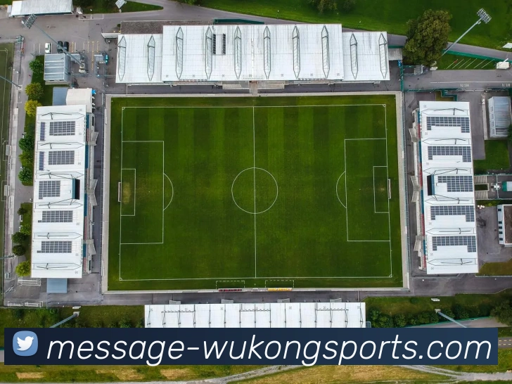 多媒体互动体验