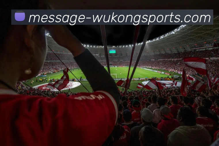 悟空体育APP 高清赛事图